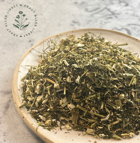 Beifuß Einjährig Artemisia Annua