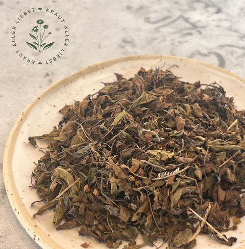 Tulsi Kraut "heiliges Basilikum" Bio